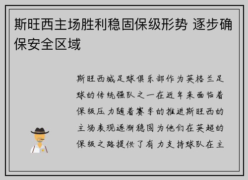 斯旺西主场胜利稳固保级形势 逐步确保安全区域