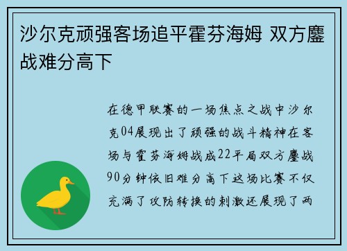 沙尔克顽强客场追平霍芬海姆 双方鏖战难分高下